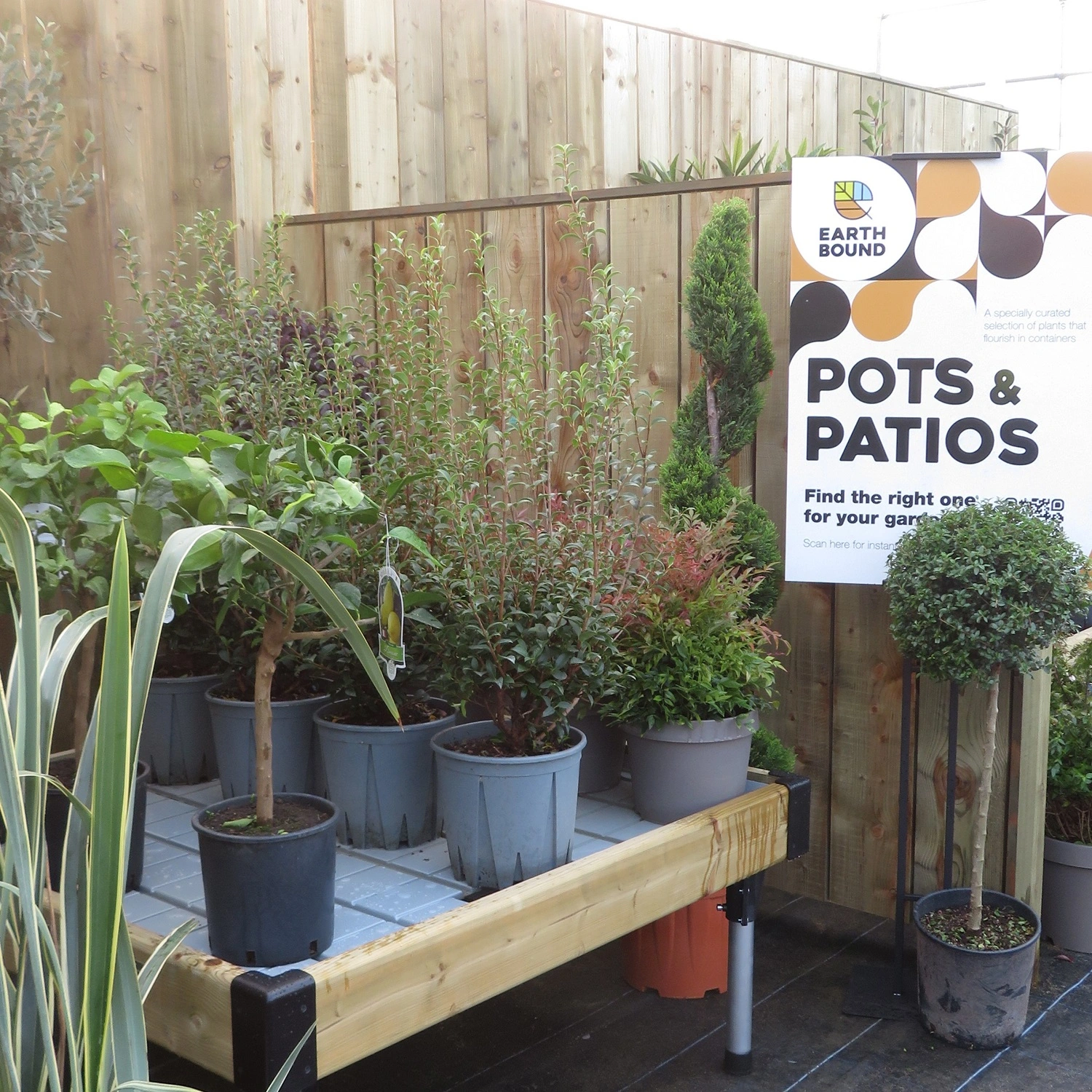 Pots & Patios Pots & Patios