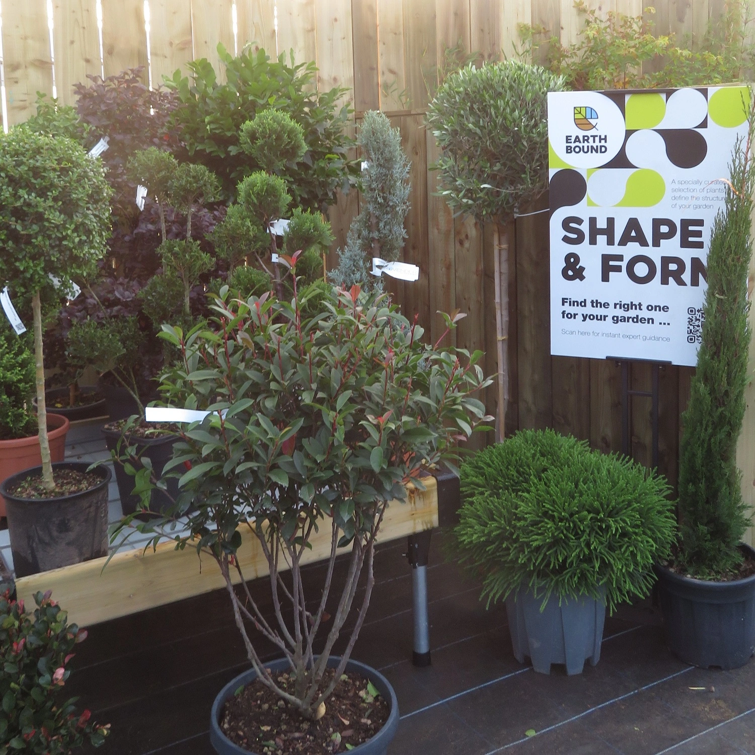 Shape & Form Shape & Form