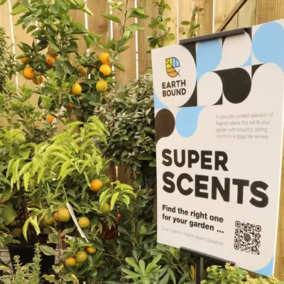 Super Scents Super Scents