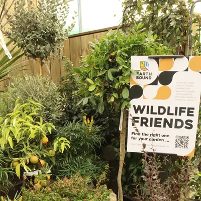 Wildlife Friends Wildlife Friends