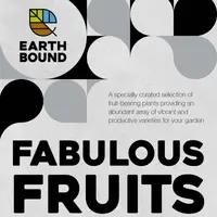 Fabulous Fruits