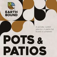 Pots & Patios