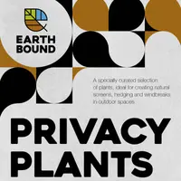 Privacy Plants