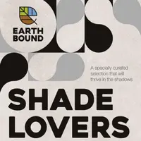 Shade Lovers
